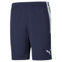 TeamLiga Training Shorts
