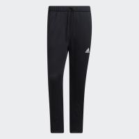 AM PANT