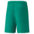 Team liga shorts Team liga shorts
