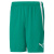 Team liga shorts Team liga shorts
