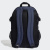 Power Backpack