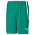 Team liga shorts