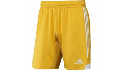 TIRO 13 SHO