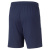 TeamLiga Training Shorts