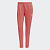 SST PANTS PB