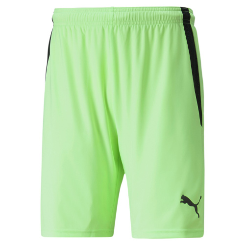Team liga shorts