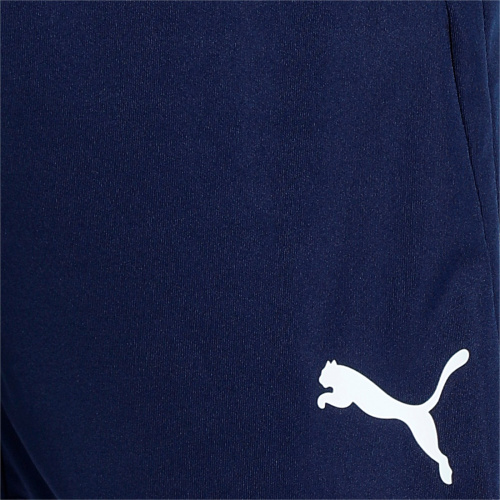 TeamLiga Training Shorts