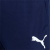 TeamLiga Training Shorts