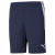 TeamLiga Training Shorts