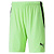 Team liga shorts